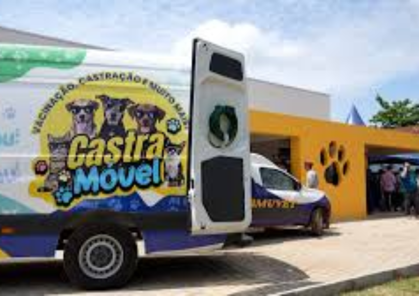 Clínica Animal de Porto Velho terá horários especiais durante o Carnaval 2026