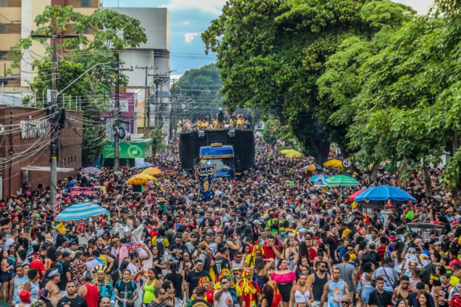 Desfile de blocos mantém clima de Carnaval e leva foliões a diferentes corredores da festa em Porto Velho