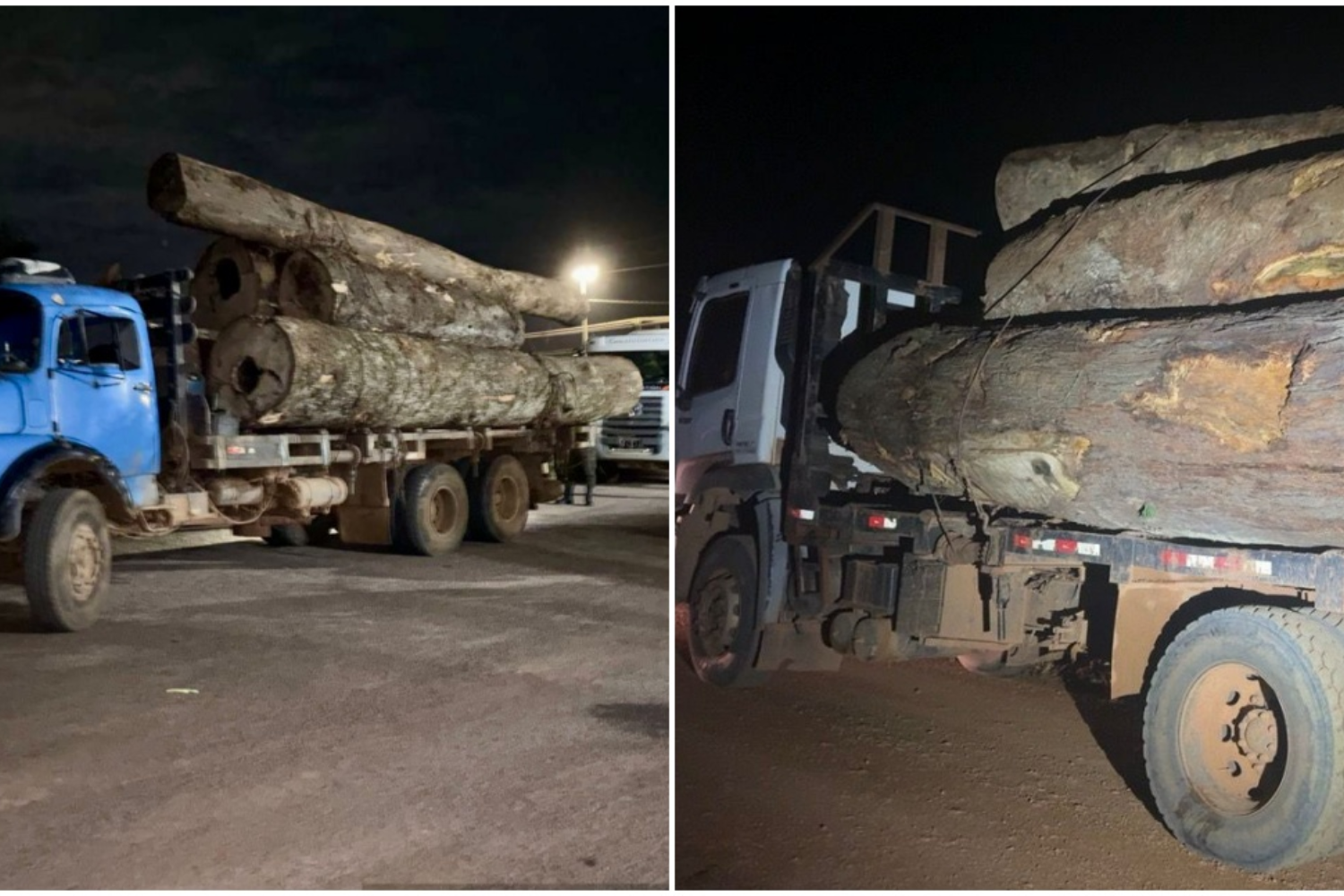 Operação no interior de Porto Velho barra carga irregular e expõe avanço do combate ao crime ambiental